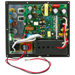 Plate Subwoofer Class D 100W Amplifier