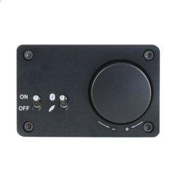 2x15W Class D Bluetooth Audio Amplifier with Case